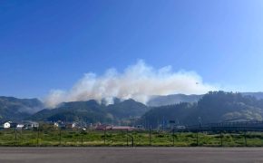 【活動報告】令和8年4月 岩手県大槌町林野火災に伴う緊急消防援助隊の派遣結果について